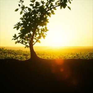 excellence culture cover